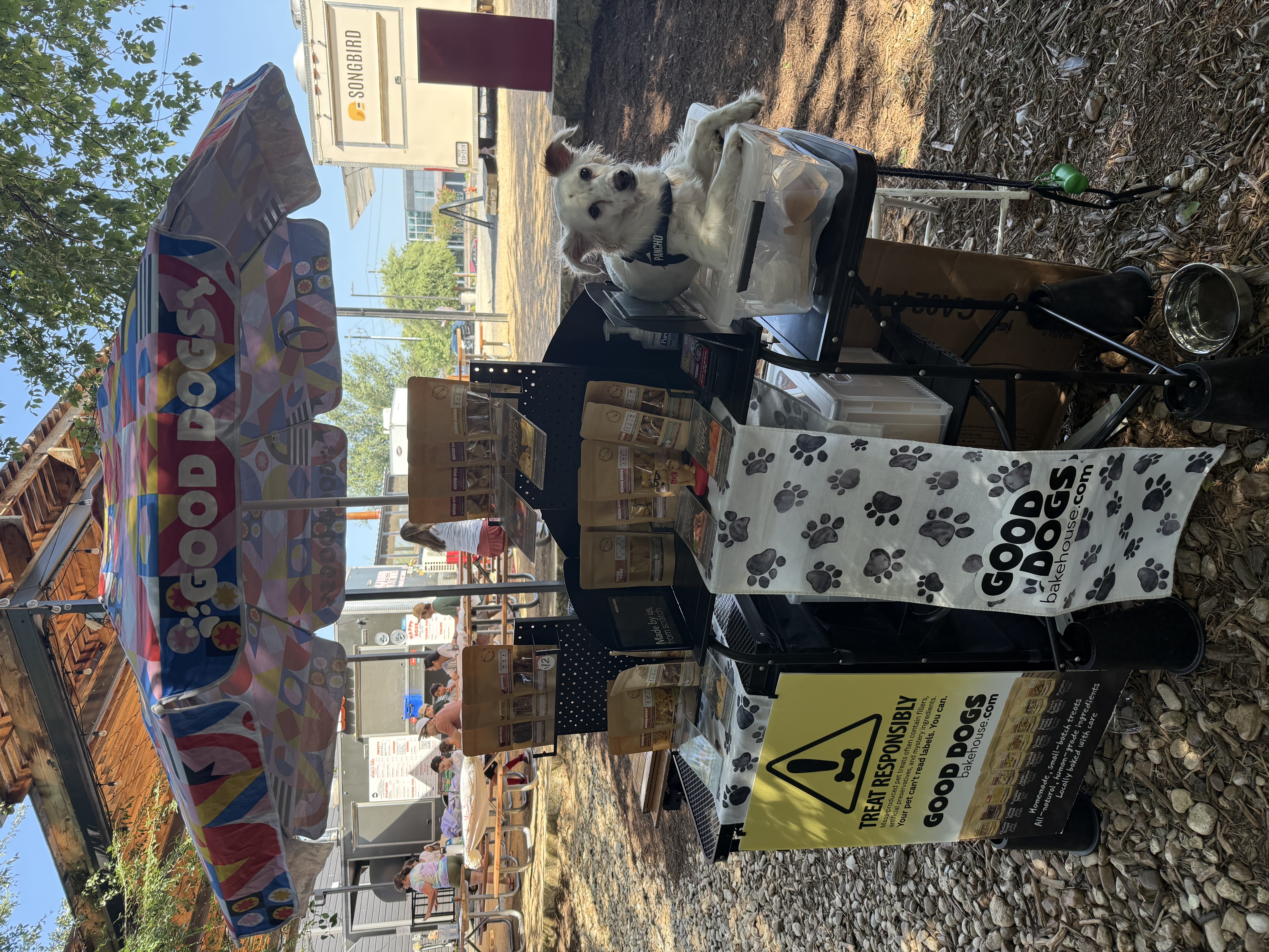 Good Dogs Bakehouse activation 1